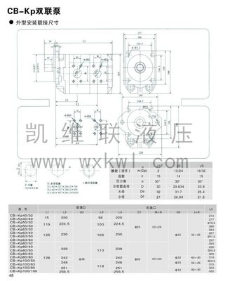 CB-Kp100/100,双联泵_供应产品_无锡凯维联液压机械